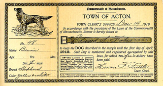 Acton Dog License Edward Fobes 1918
