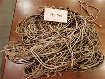 Fly Net in a Pile