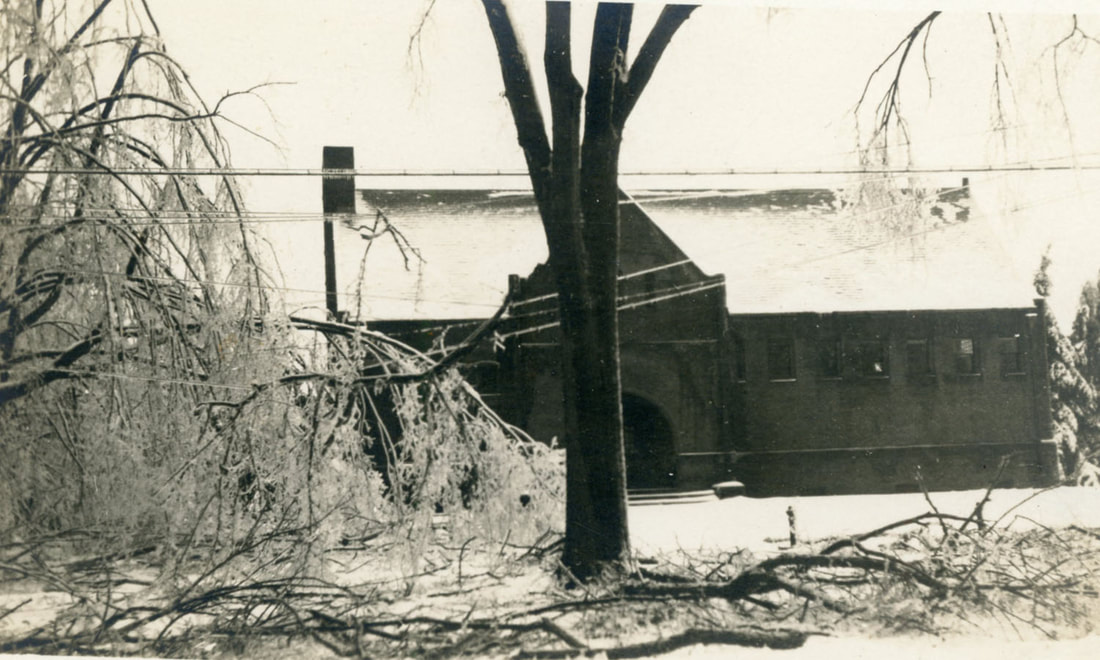 Tree damage in front of library, Nov. 1921