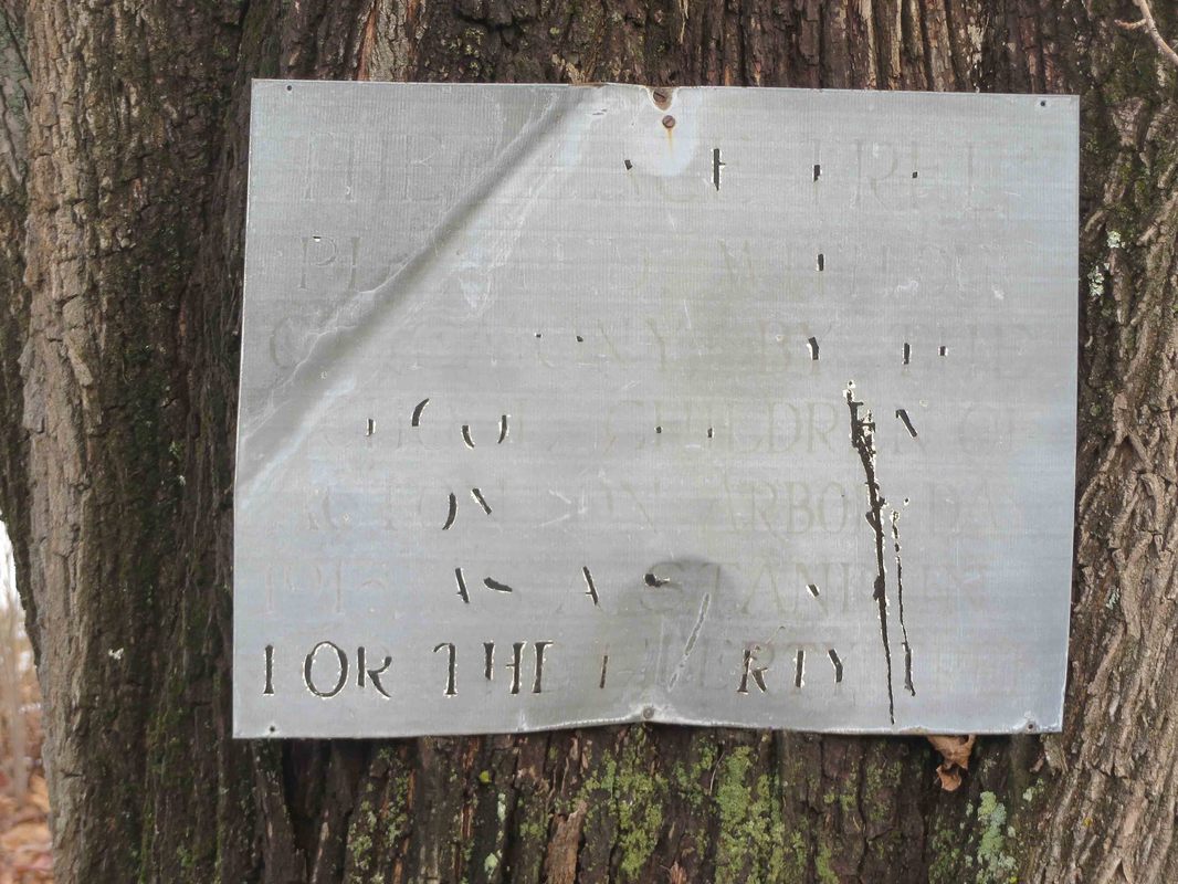 Sign on 1915 Peace Tree