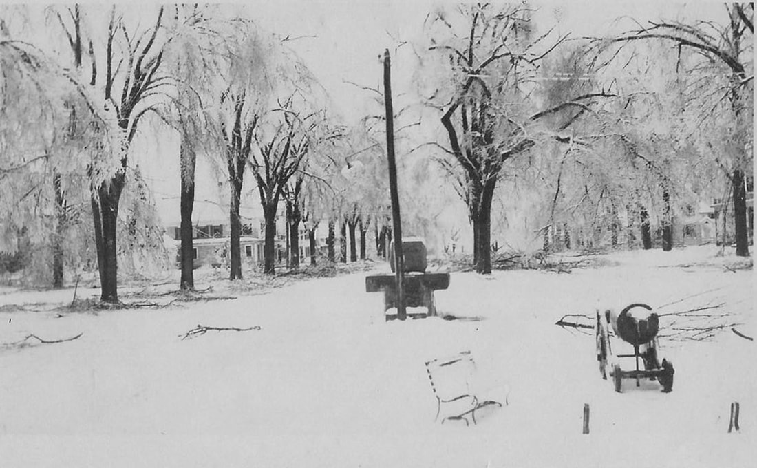 Ice on Trees & Damage Acton, Nov. 1921