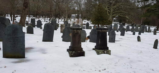 Abraham and Sarah Skinner Gravestones 
