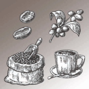 Coffee Drawings
